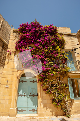 Image of Traditional Maltese house, with colorful doors and flowers. Mdina Malta