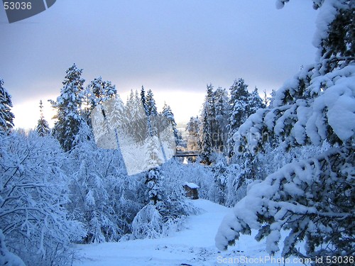 Image of winter landscape