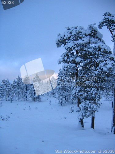 Image of winter landscape