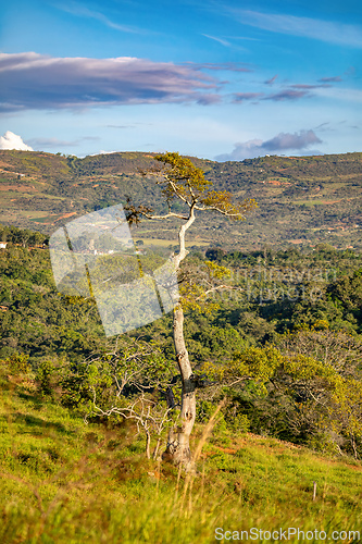 Image of El Camino Real trail in Barichara. Andes mountains, Colombia.