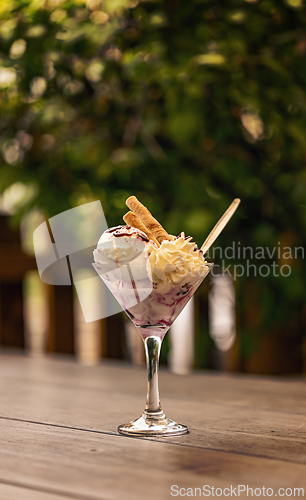 Image of Delicious ice cream dessert