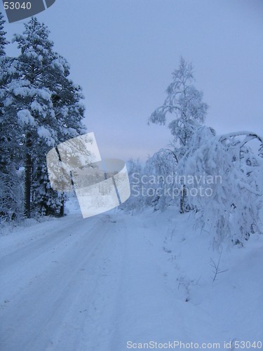 Image of Winter road