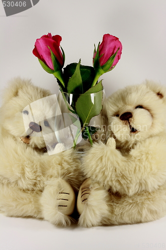 Image of Valentine Teddy Bear