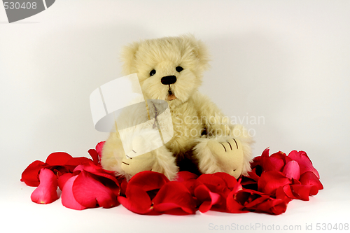 Image of Valentines Teddy bear