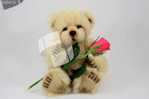 Image of Valentines Teddy Bear