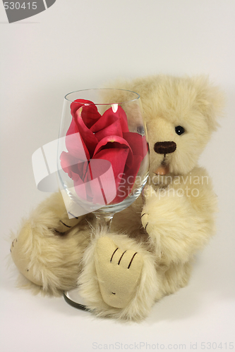 Image of Valentines Teddy bear