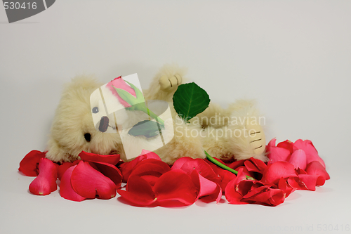 Image of Valentines Teddy Bear