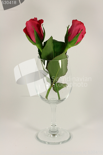 Image of Valentine roses