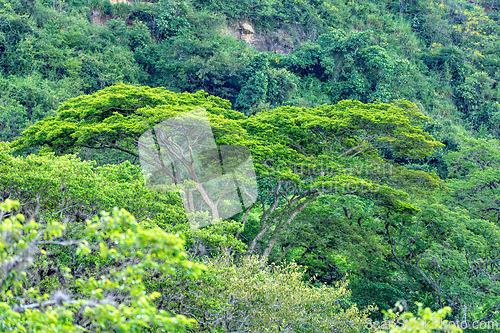 Image of El Camino Real trail in Barichara. Andes mountains, Colombia.