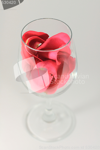 Image of Valentines wine