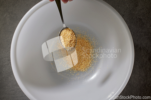 Image of spoon of ground dried garlic spice