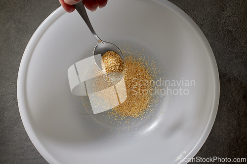 Image of spoon of ground dried garlic spice