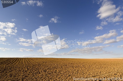 Image of brown soil field