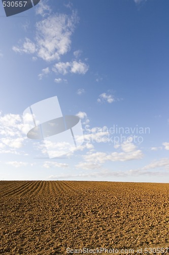 Image of brown soil field