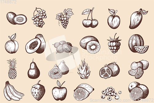 Image of 24 Fruits Hand Drawn Sketch