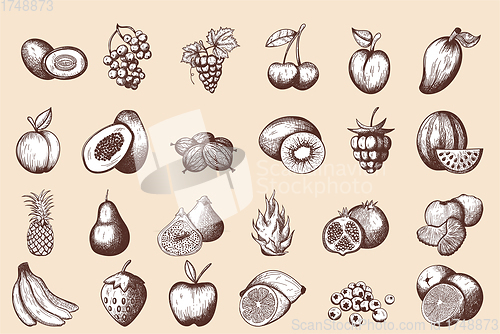 Image of 24 Fruits Hand Drawn Sketch