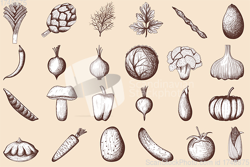 Image of 24 Vegetables Hand Drawn Sketch