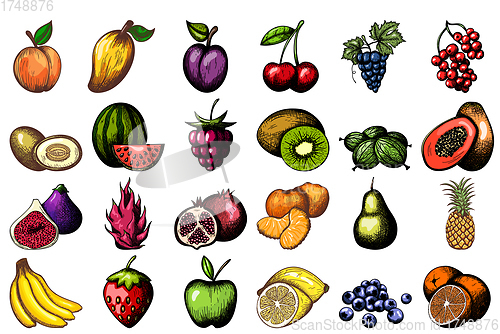 Image of 24 Fruits Hand Drawn Sketch