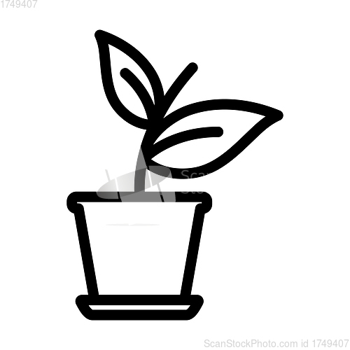 Image of Plant In Flower Pot Icon