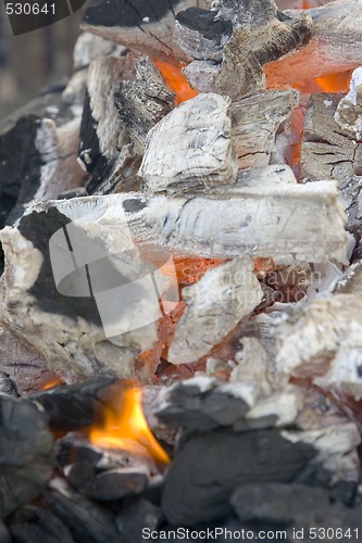 Image of food cooking barbecue