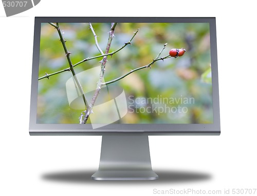 Image of lcd monitor flat screen