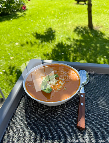 Image of bowl of cold tomato soup gazpacho 