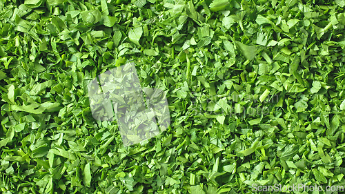 Image of fresh green chopped parsley