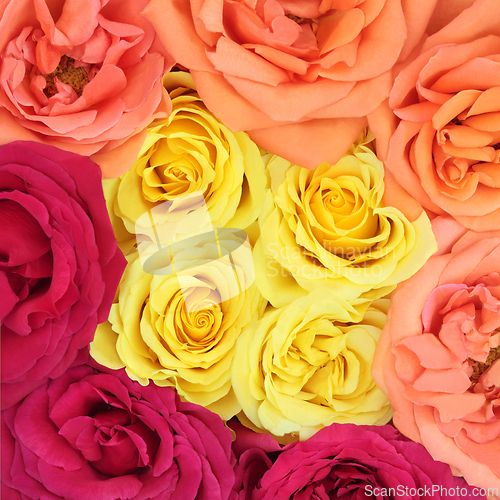 Image of Rose Flower Bouquet Summer Abstract Floral Background