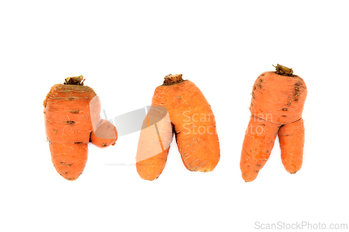 Image of Misshaped and Forked Carrot Vegetables