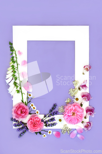 Image of Summer Medicinal Flowers Background Frame