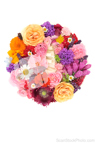 Image of Summer Flowers For Natural Herbal Medicine 