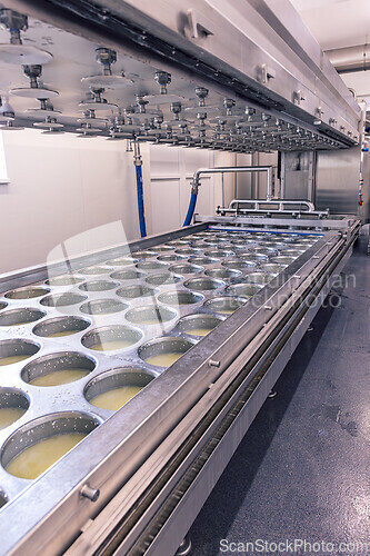 Image of Stainless steel cheese making machine