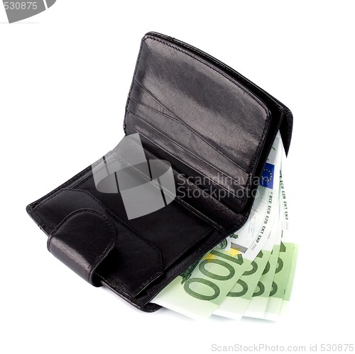 Image of euro and a leather purse