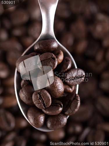 Image of Coffee beans and spoon