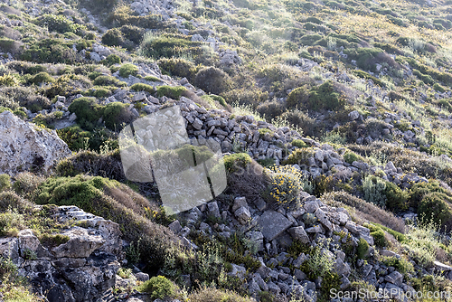 Image of A shot of a rocky hillside with typical Mediterranean plants. Si