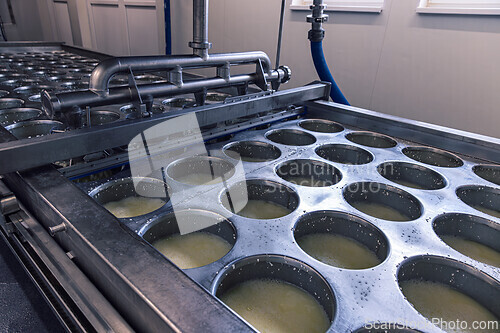 Image of Fresh cheese curds being pressed