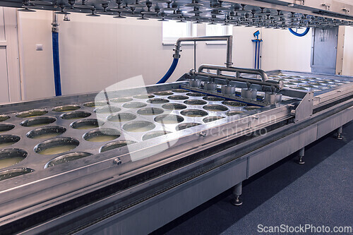Image of Industrial cheese making process