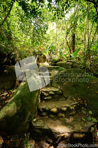 Image of Trail to most beautiful Caribbean beach, Playa Arenilla in Tayrona National Park, Colombia