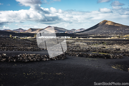 Image of Traditional white houses in black volcanic landscape of La Geria wine growing region with view of Timanfaya National Park in Lanzarote. Touristic attraction in Lanzarote island, Canary Islands, Spain.