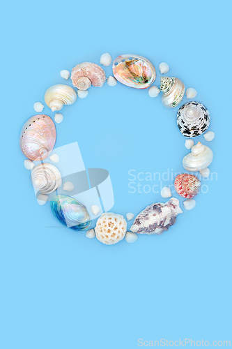 Image of Mother of Pearl and Natural Seashell Wreath