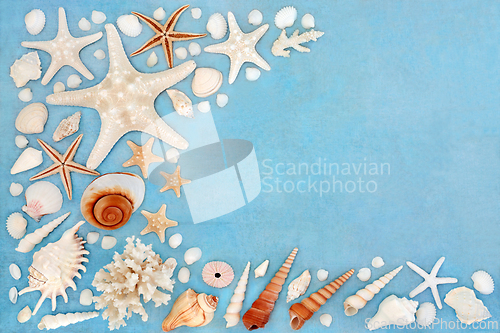 Image of Sea Shell Abstract Background Border Collection