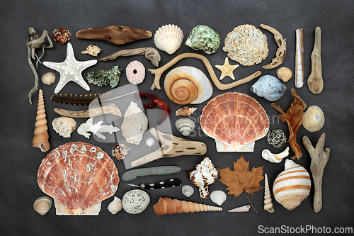 Image of Beautiful Collection of Natural Nature Objects 