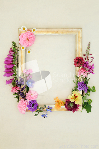 Image of Flowers and Herbs for Naturopathic and Homeopathic Medicine
