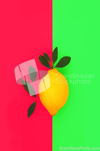 Image of Lemon Fruit Health Food for Immune System Boost