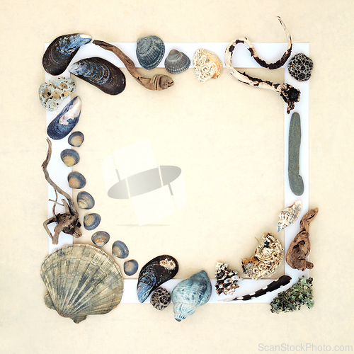 Image of Nature Collage Background of Natural Objects 