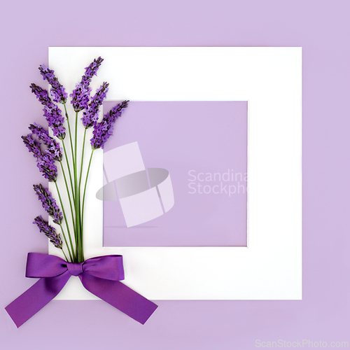 Image of Lavender Flower Herb Abstract Floral Background Frame 