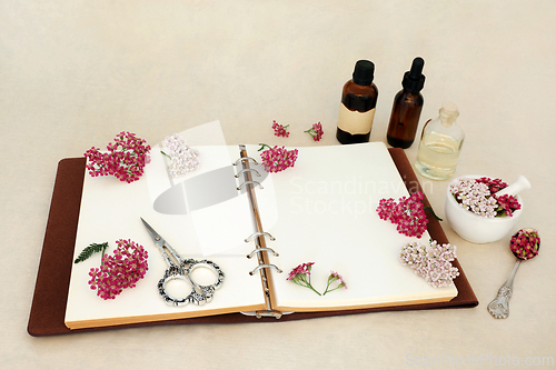 Image of Achillea Herb Flowers for Alternative Herbal Medicine  