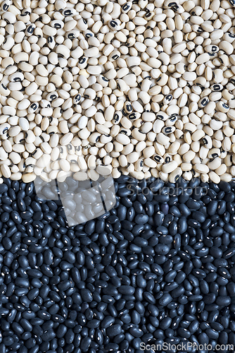 Image of White and black beans.