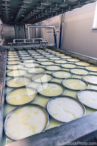 Image of Cheese factory equipment