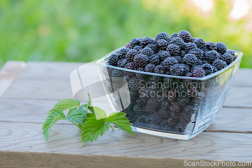 Image of Blackberry in glass bowl